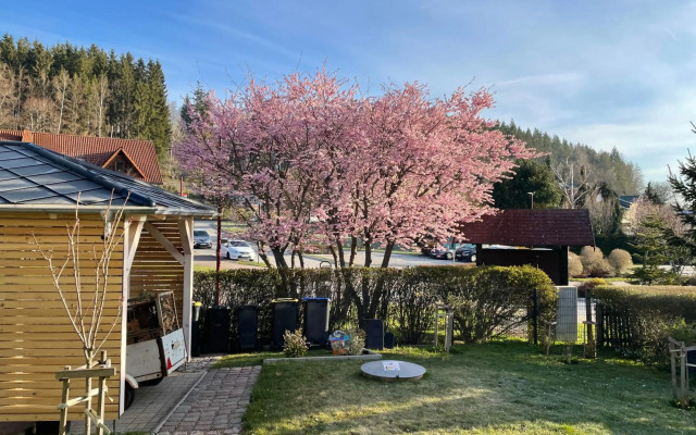 Wanderlust - Thüringer Wald, Rennsteig, Finsterbergen