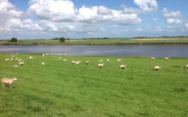 Ferienhaus-Hemmerdeich