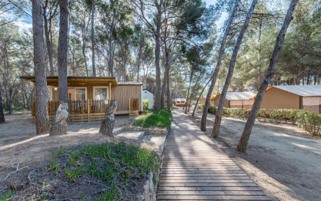 Las Palmeras Camping & Bungalow