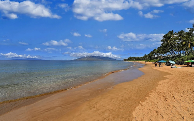 Tropical Oasis with Daily Activities - Spacious and Stylish Getaway