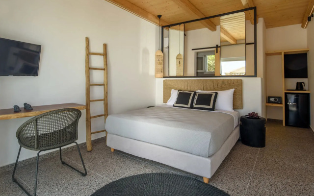 Olive Mykonos Villas