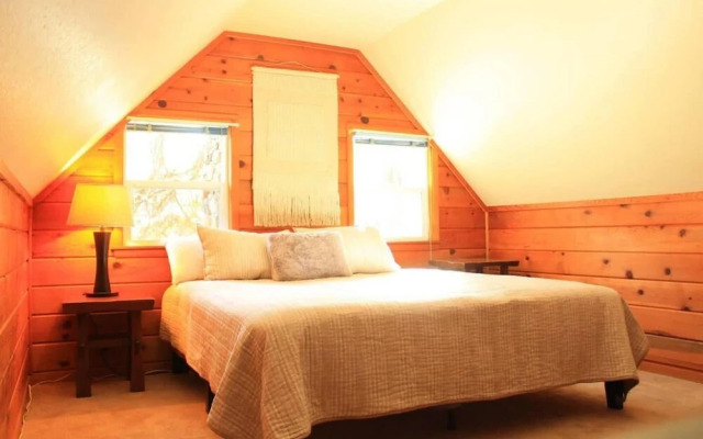 Fox St Criterion 54 - Aster