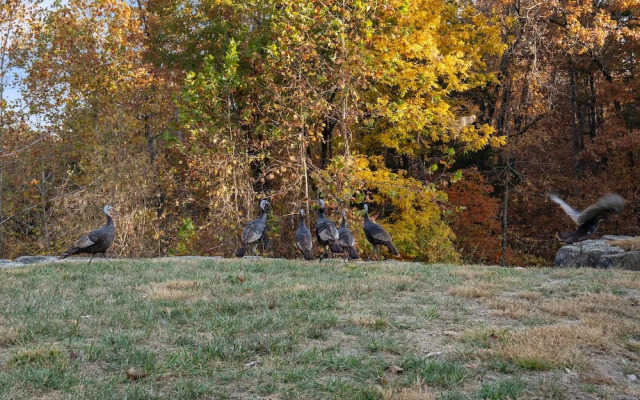 The Bunkhouse at Rock Canyon