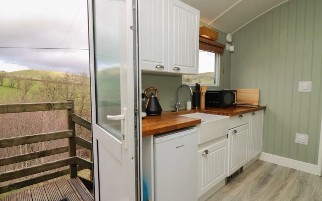 Cuckoo at Wild Valley Huts