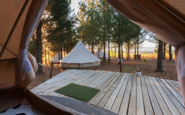 Cherry Glamping
