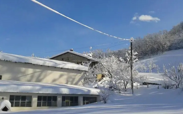 Agriturismo Casa Volpa