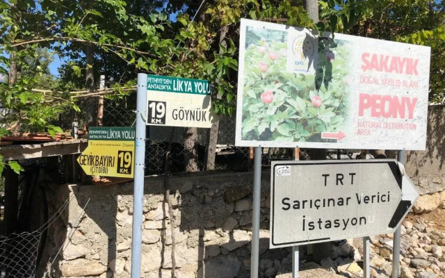 Yenivadi