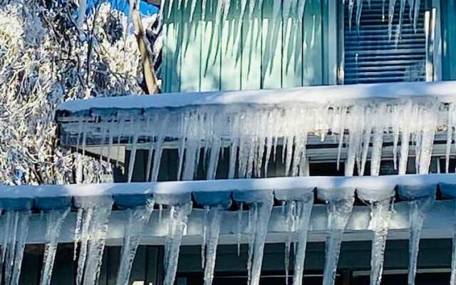Feathertop Alpine Lodge
