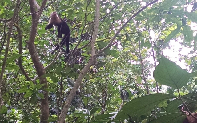 Surf Break at Paunch