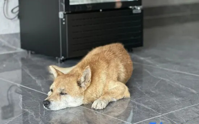 Tonglu Free Qingjing Homestay