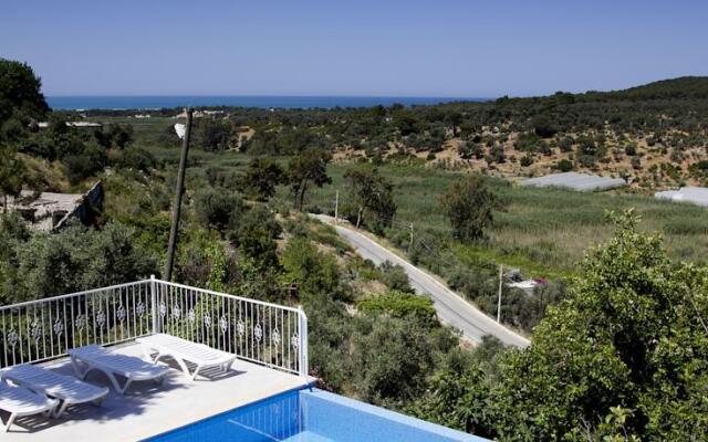 Patara House