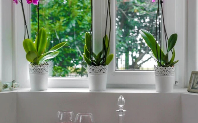 Lubimetz 13 - holiday villa