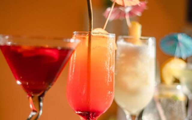 The Palms Resort & Bar