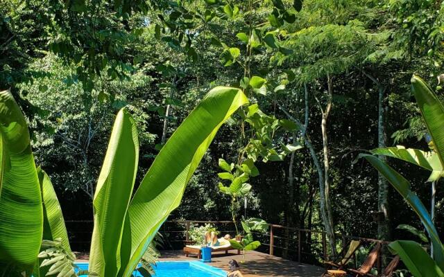 Selva de Laurel
