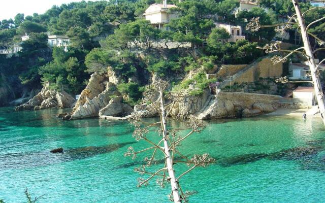 SCI La Palmeraie des Calanques