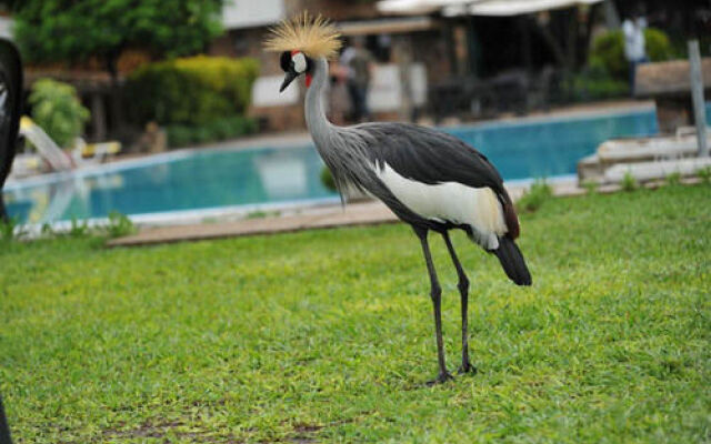 Hotel Club Du Lac Tanganyika