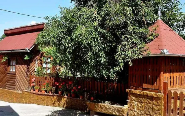 Pensiunea Iancu Salasu de Sus