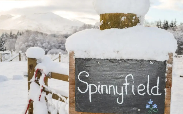 Spinnyfield