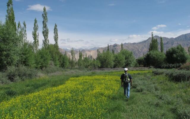 Chamba Camp Thiksey by TUTC