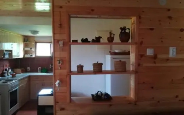 Woodpeckers House