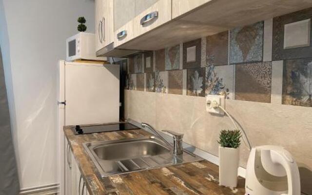 Urseni Studio Apartment