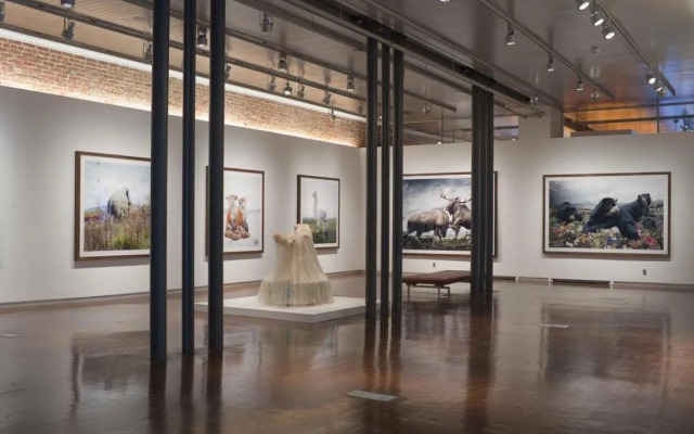 21c Museum Hotel Louisville