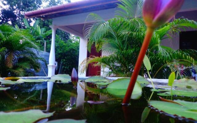Lal HomeStay