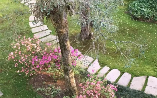 Flat Jardim Primavera
