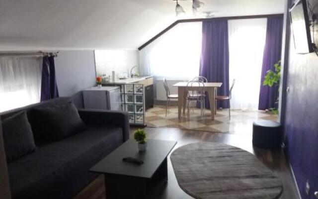 Vila Marie "Apartament Cristina"