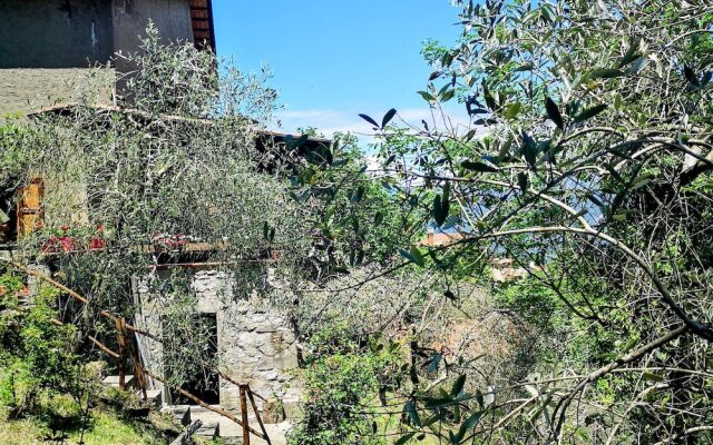 Holiday Apartment Ulivella Tuscany Garfagnana