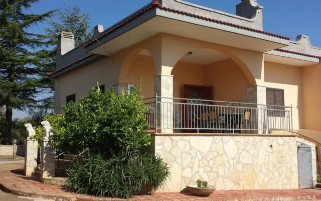 Stella Della Valle DItria