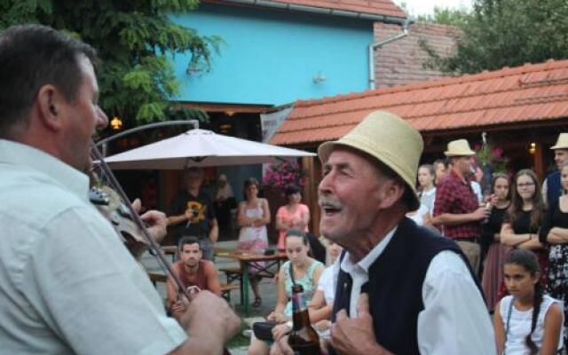 Csipkeszeg Bed & Breakfast Sic / Szék Romania