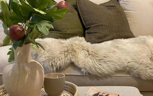 Wanaka Cosy and Warm