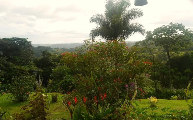 Refugium Silent Wings With Natural Pool