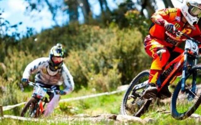 Stenmark 5/3 Poley Cow Lane