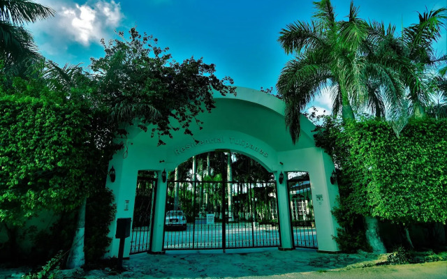 Tulipanes Cancun