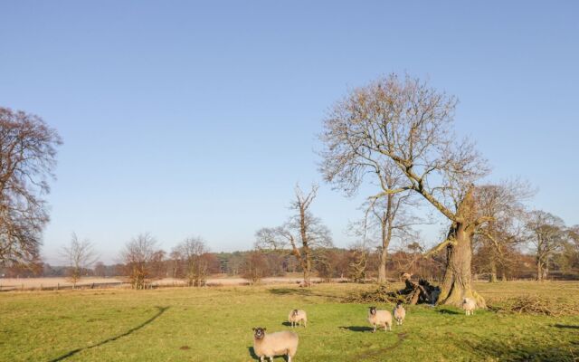 Pelham House Cottage