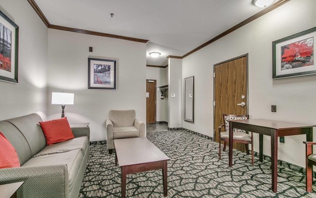 Holiday Inn Express Hotel & Suites Lubbock South, an IHG Hotel
