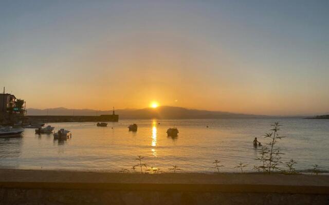 Myrtilo Waterline 2 (Orange)