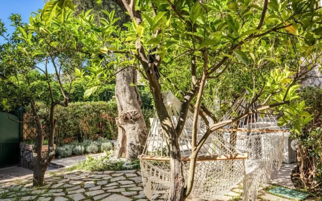 Sophia in Sorrento With 2 Bedrooms and 2 Bathrooms