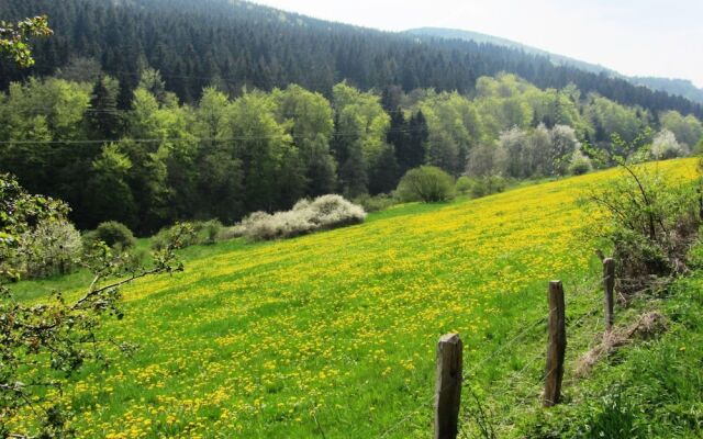 Beautiful Villa with Garden near Ski Area in Kustelberg