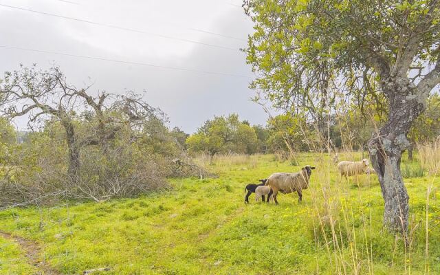 Finca Puig Santa Magdalena