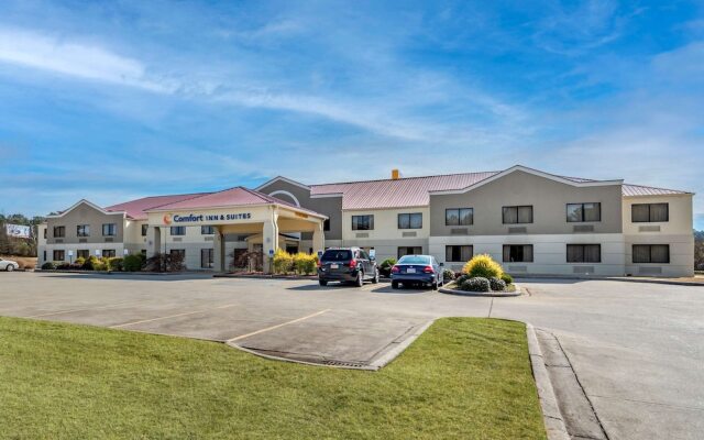 Comfort Inn And Suites