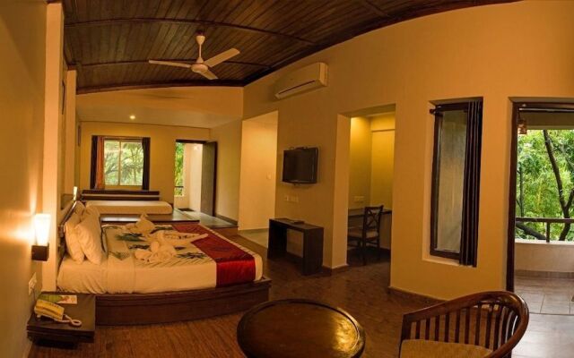 Wild Exotica Corbett