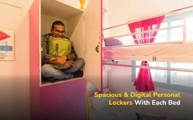 goStops Udaipur (Stops Hostel Udaipur)