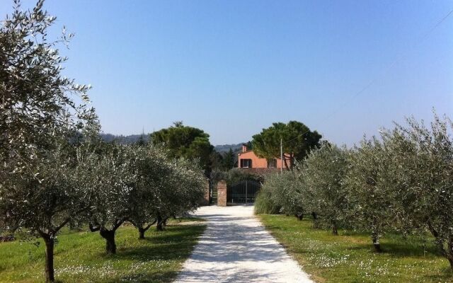 Paradiso in Collina