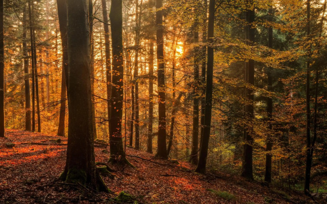 Stilvolle FeWo *Rebland* Balkon-Netflix-Parking