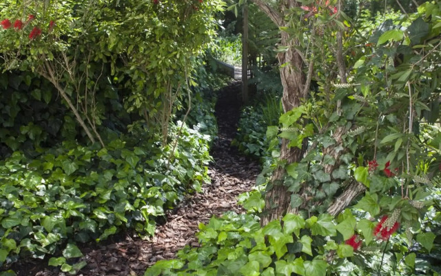 33 Strawberry Lane