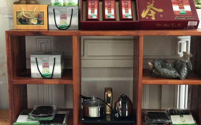 Villa Hotel Thao Nguyen