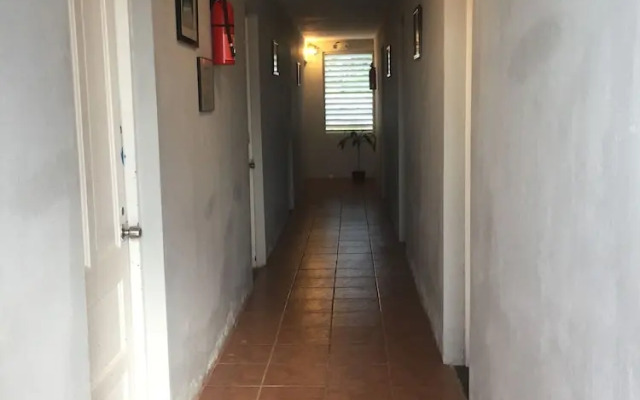 Vieques Tropical Guest House